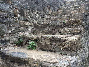 Stone Steps In Rumeli Hisari, Istanbul