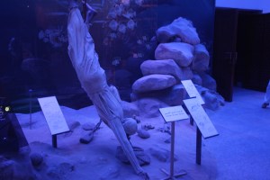 Pearl Diving, Dubai Museum, Dubai, UAE