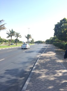 Palm Tree Lined Streets, Dubai, UAE