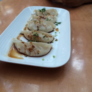 Vegetable Pot Stickers, Noodle House, BurJuman Mall, Dubai, UAE