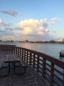 Creek Park, Dubai, UAE