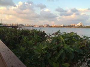 Creek Park, Dubai, UAE