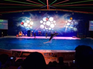 Dubai Dolphinarium, Dubai, UAE