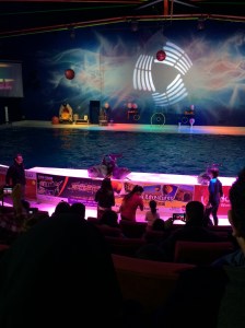 Dubai Dolphinarium, Dubai, UAE