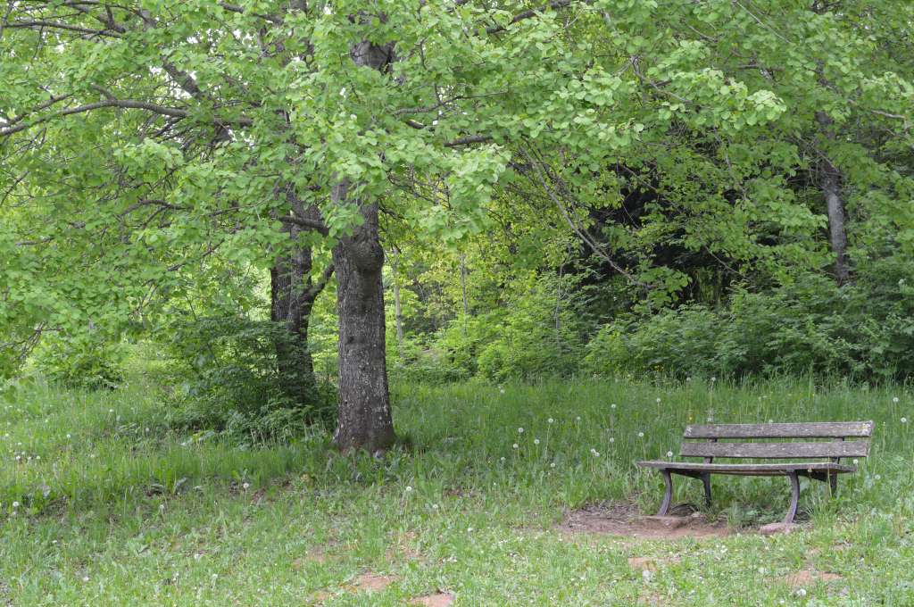 Benches, Mont Saleve, France