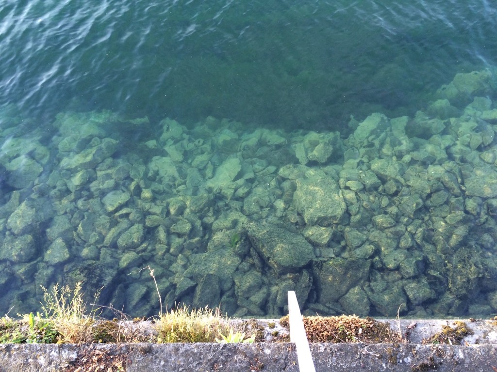 Clear Waters, Lake Geneva, Geneva, Switzerland