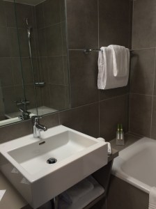 Lake Geneva Hotel, Geneva, Switzerland (3)