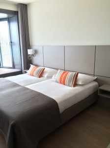 Lake Geneva Hotel, Geneva, Switzerland