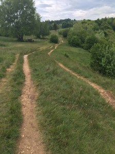 Long Walks, Mont Saleve, France