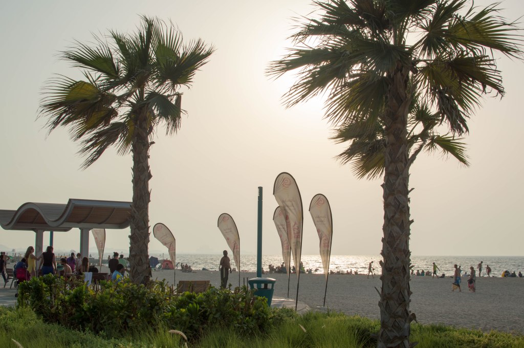 Palm Trees, Kite Beach, Dubai, UAE