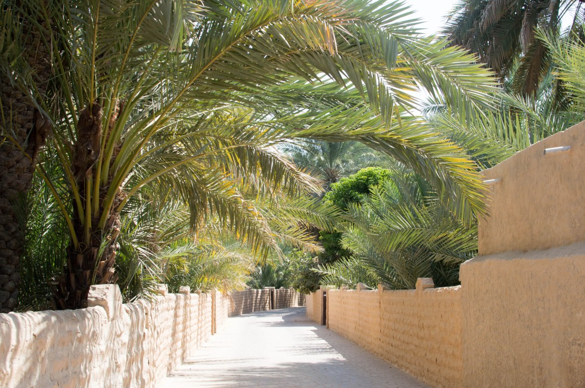 Pathway, Al Ain Oasis, Al Ain, UAE (3)
