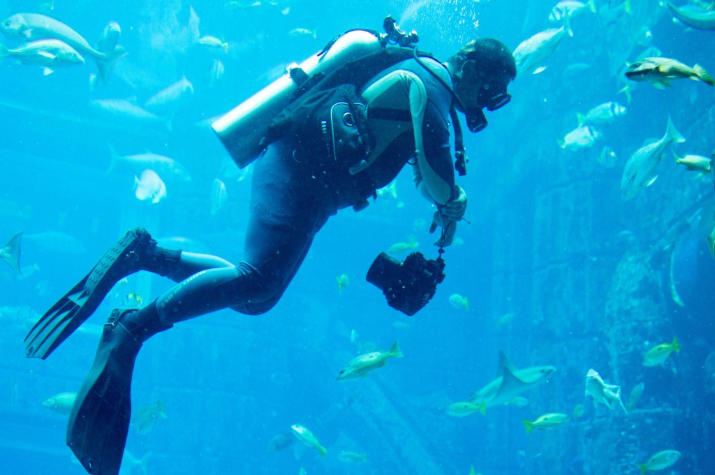 Snorkeller, Atlantis Aquarium, Palm Jumeirah, Dubai, UAE
