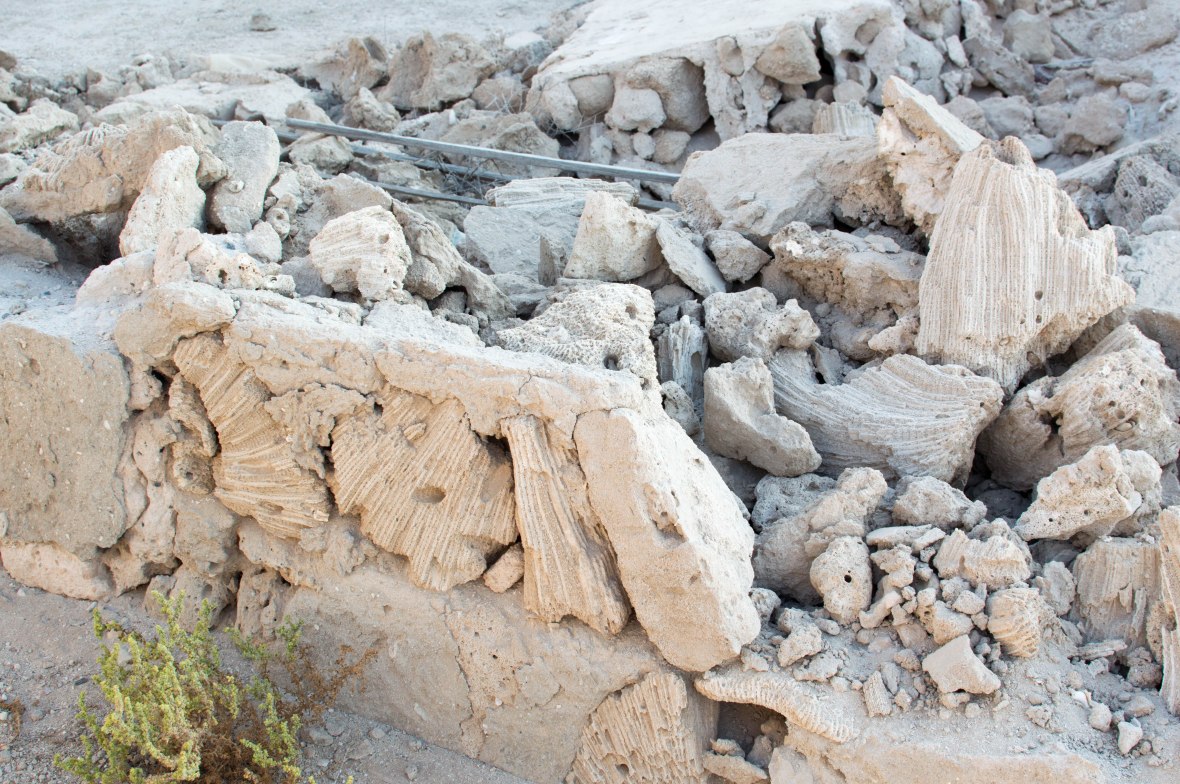 Coral Bricks, Abandoned City, Al Jazirat Al Hamra, Ras Al Khaimah, UAE
