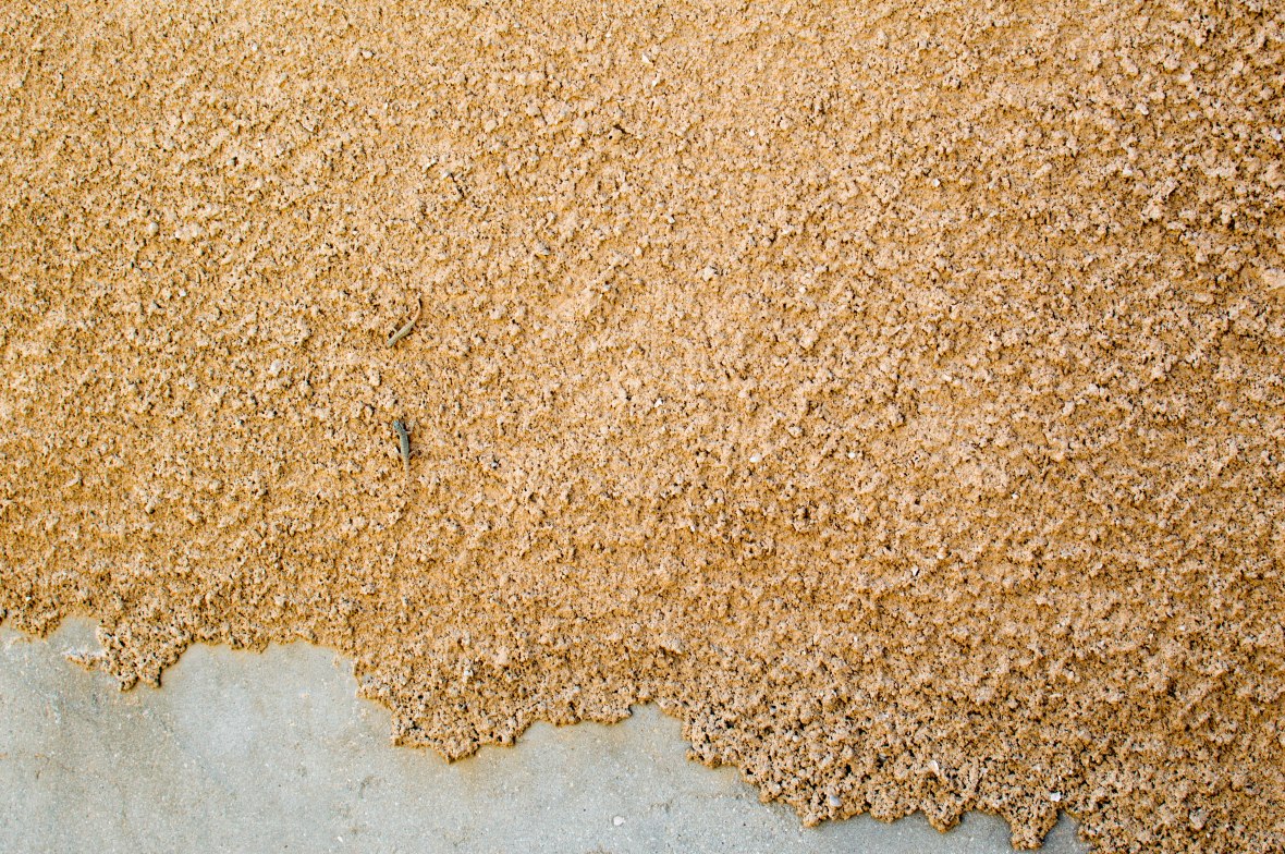 Lizards On The Walls, Abandoned City, Al Jazirat Al Hamra, Ras Al Khaimah, UAE