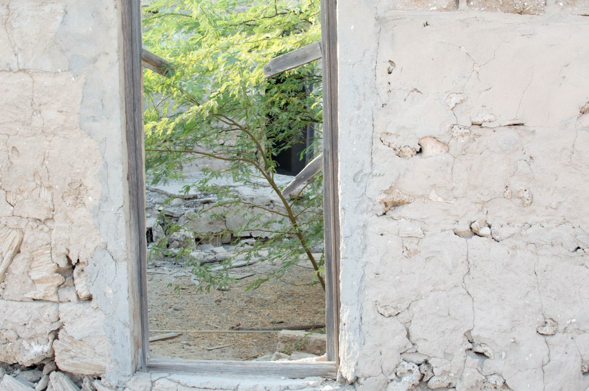 New Life In An Abandoned City, Al Jazirat Al Hamra, Ras Al Khaimah, UAE
