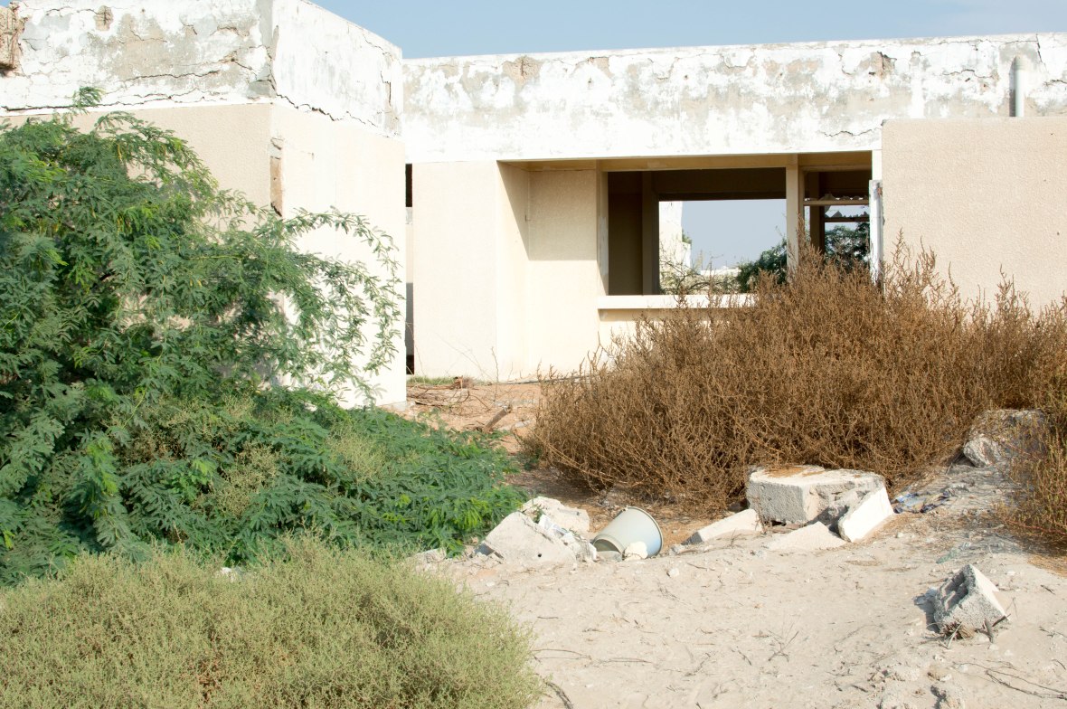 Overgrown Plants, Abandoned City, Al Jazirat Al Hamra, Ras Al Khaimah, UAE