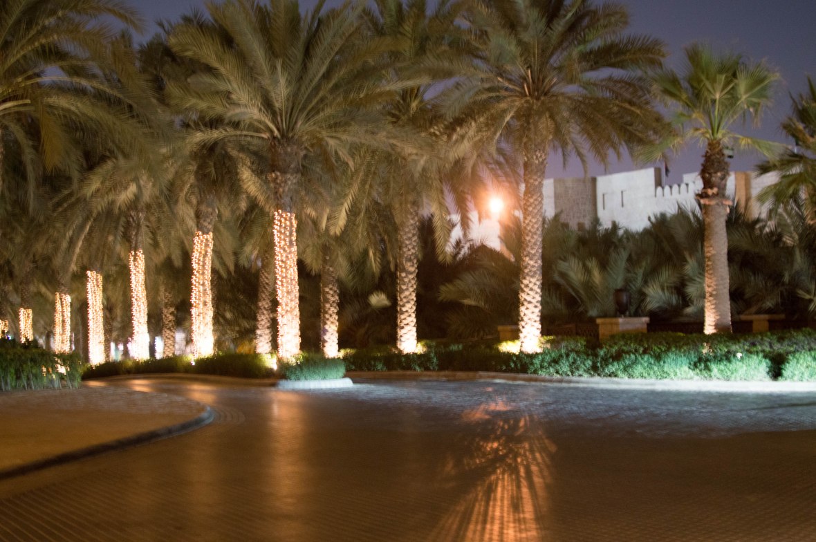 Palm Trees, Madinat Jumeirah, Dubai, UAE (2)