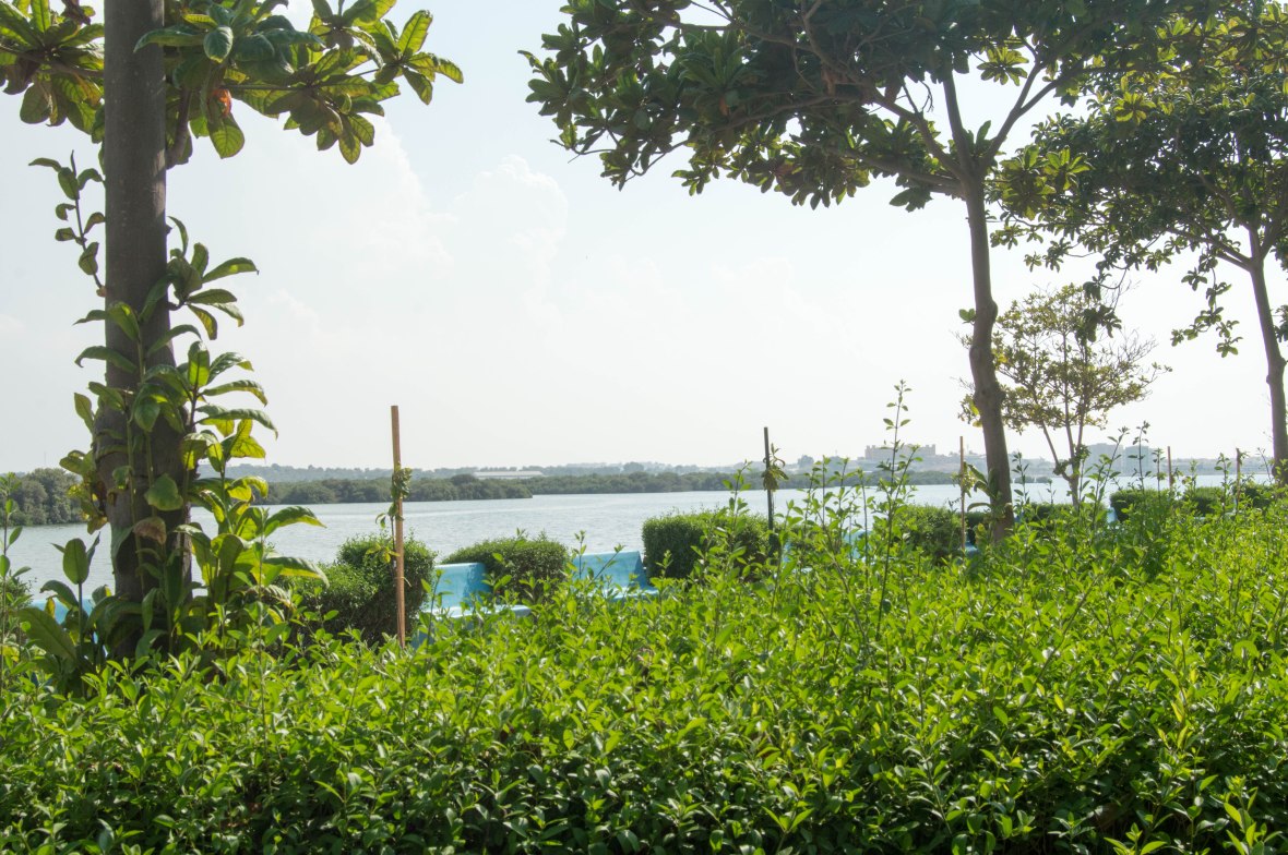 Ras Al Khaimah Corniche