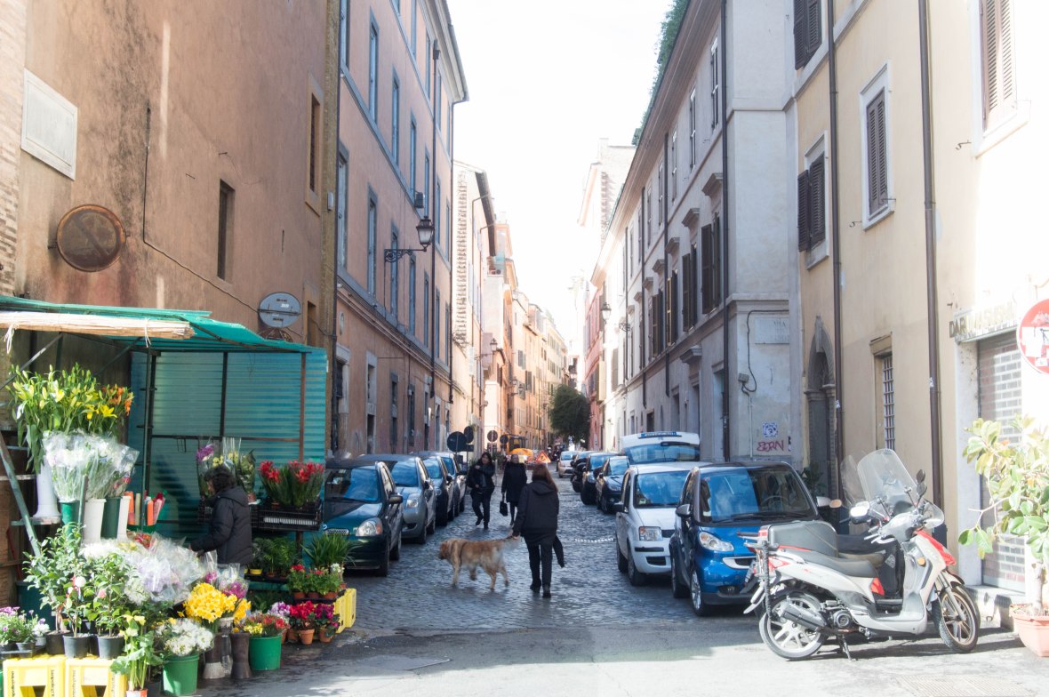 Flower Shop, Rome, Italy