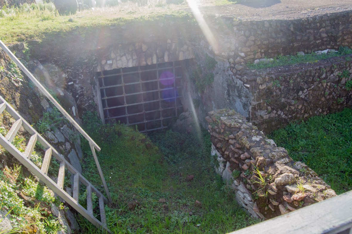 Steps To Barred Windows, Palatine Hill, Rome, Italy