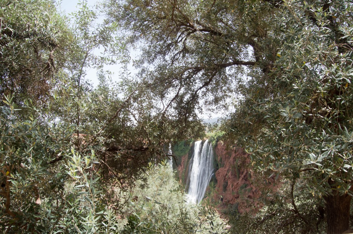 Glimpse Of Ouzoud Falls Through The Trees, Morocco