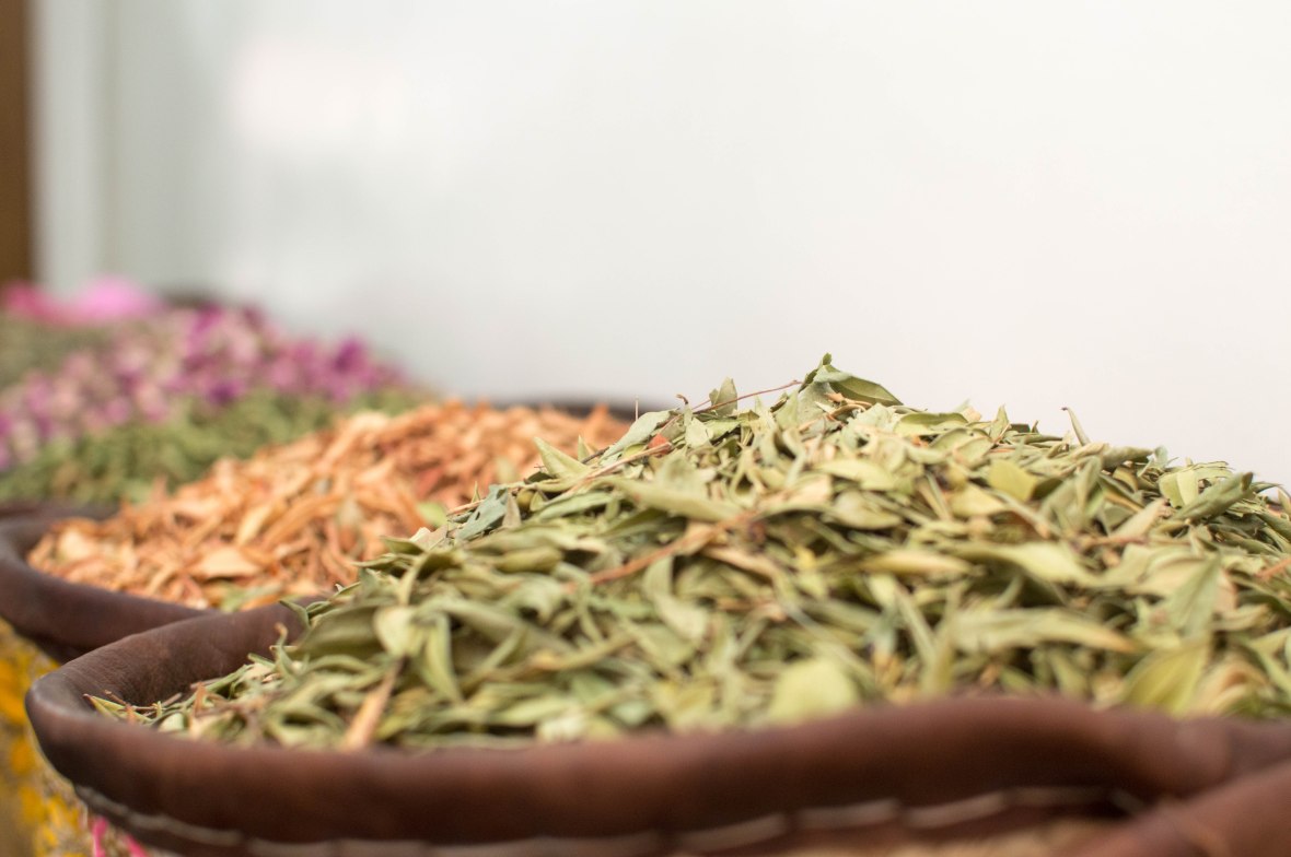 Herbs and Spices, Souks, Marrakech, Morocco