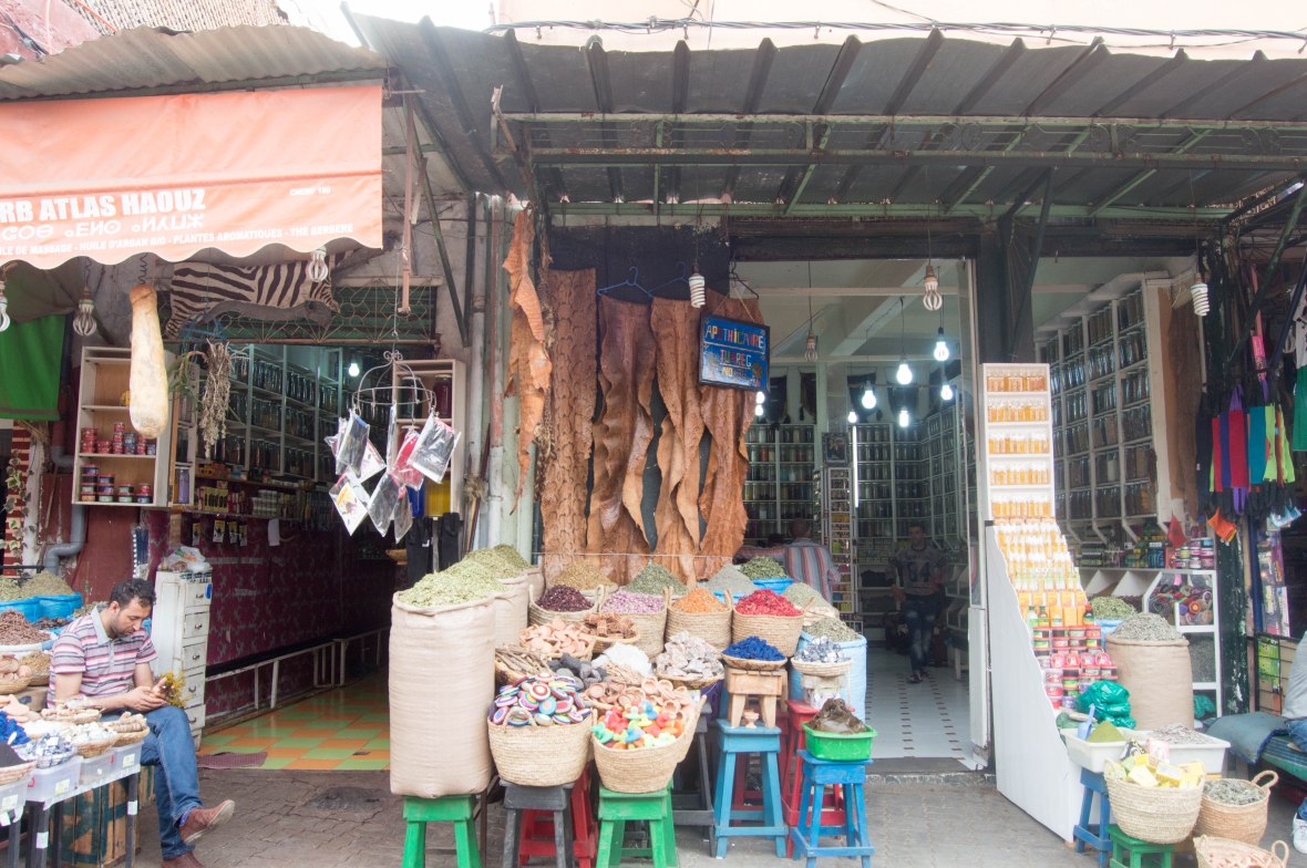 Reptile Skins, Apothecary, Souks, Marrakech, Morocco