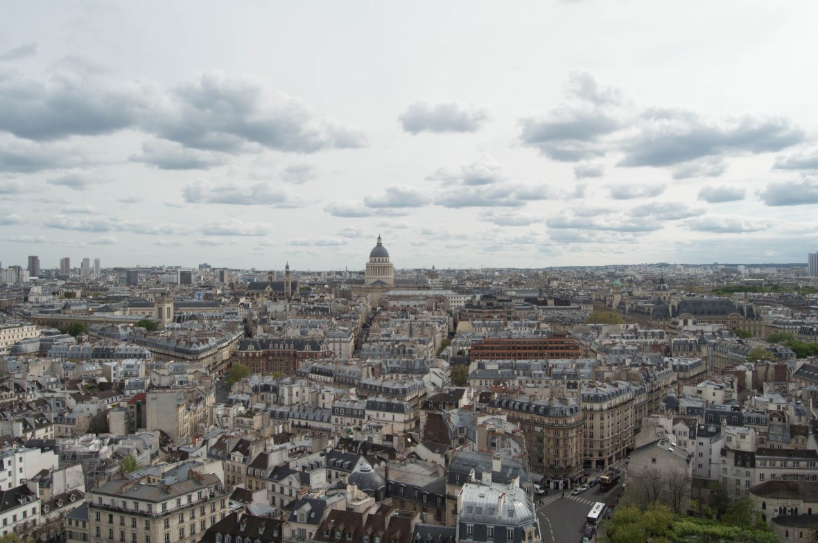 View From Notre Dame, Paris, Frane
