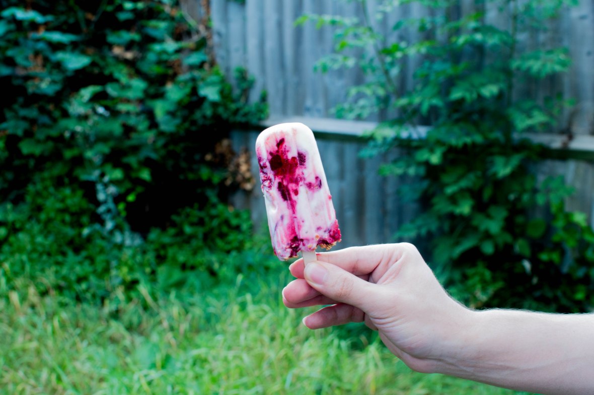 frozen-yoghurt-berry-lolly-kays-kitchen