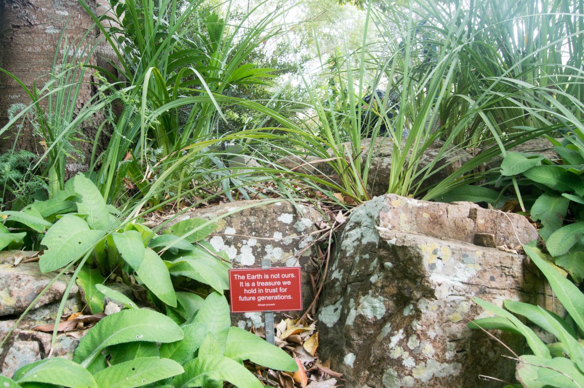 african-proverb-kirstenbosch-national-botanical-garden-cape-town-south-africa