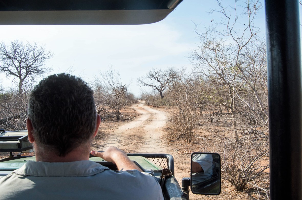 landscape-safari-lowveld-south-africa