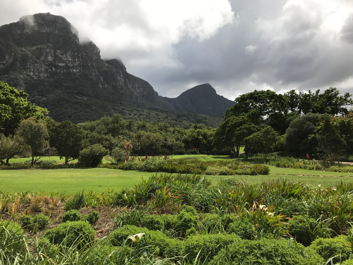 mountain-views-kirstenbosch-national-botanical-garden-cape-town-south-africa