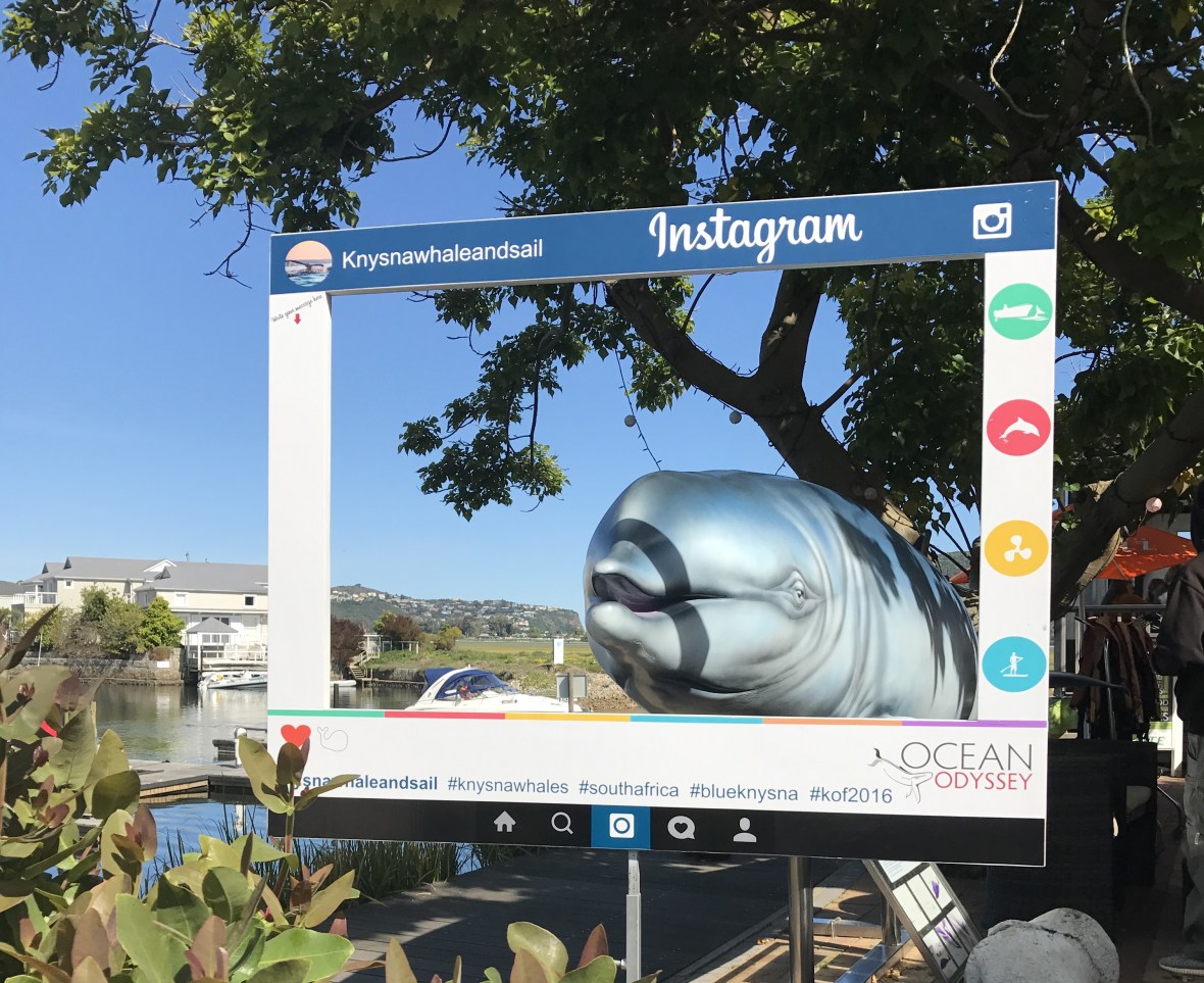Ocean Odyssey, Whale Watching, Knysna, South Africa.JPG