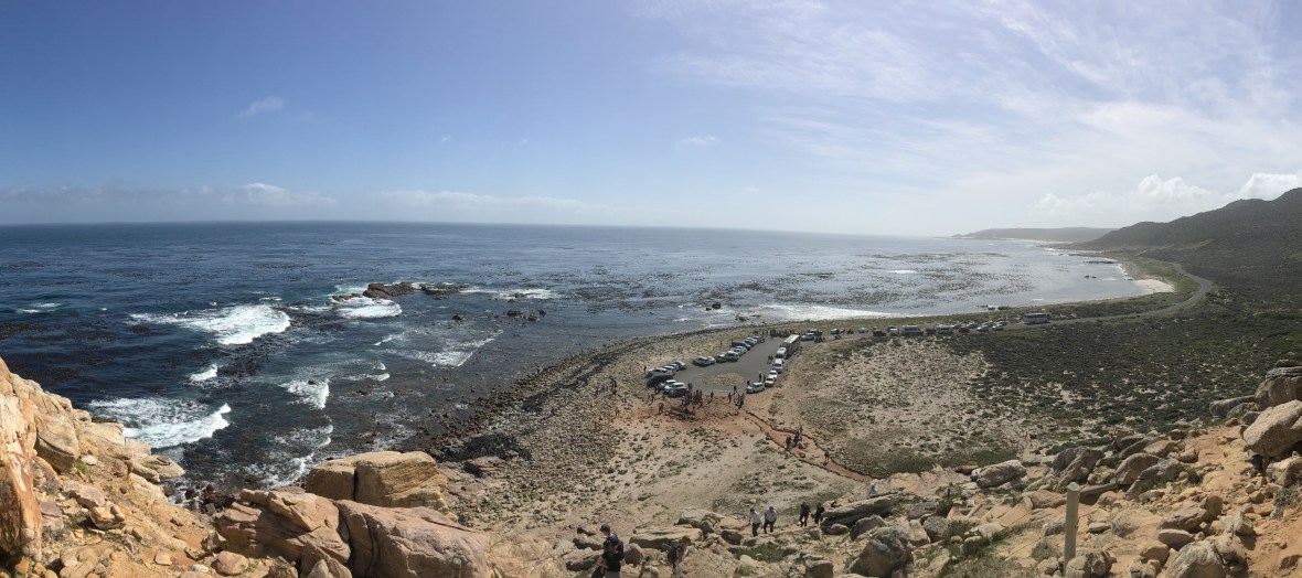 panorama-of-the-coast-line-cape-of-good-hope-south-africa
