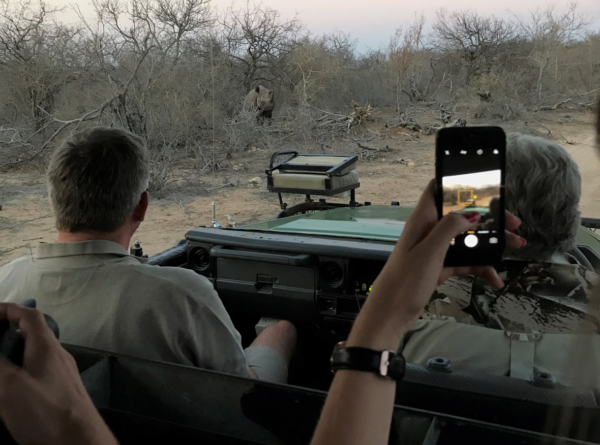 rhino-safari-south-africa