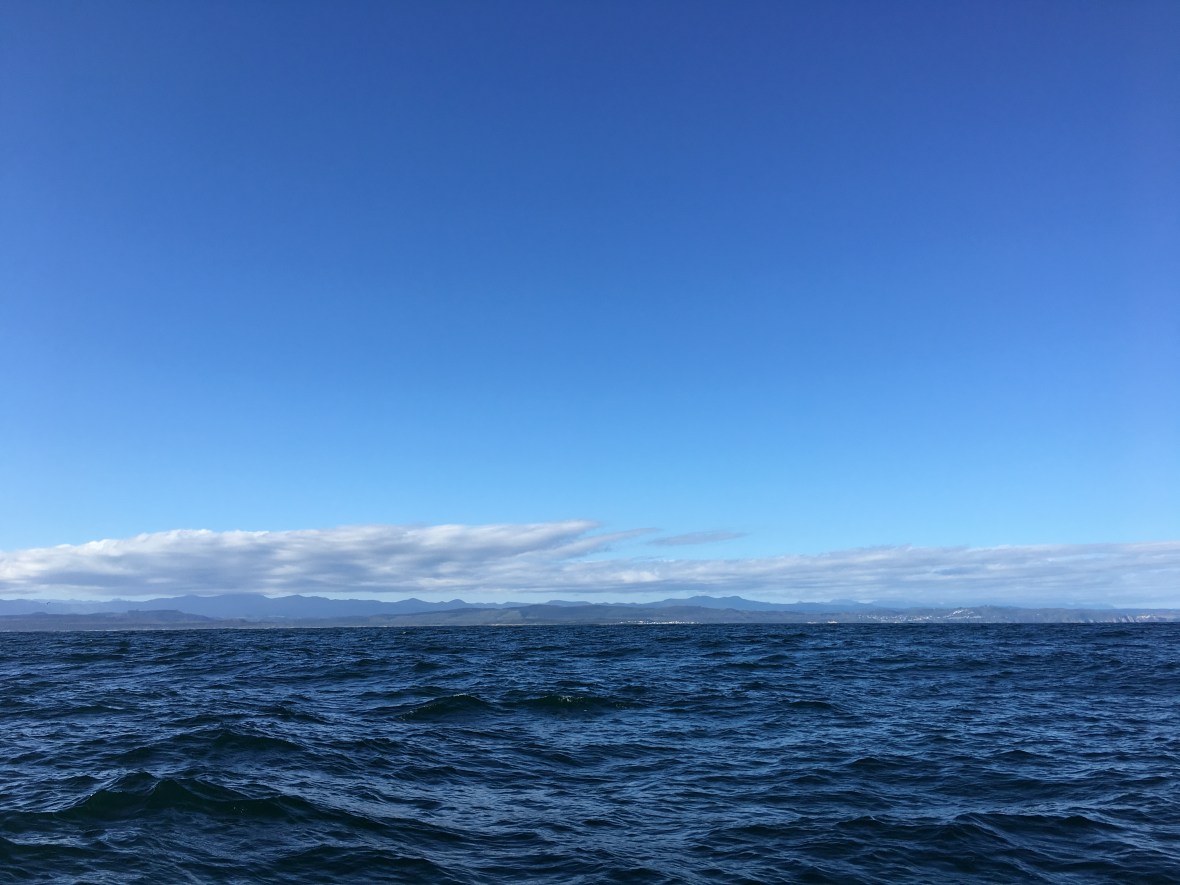 sea-knysna-south-africa