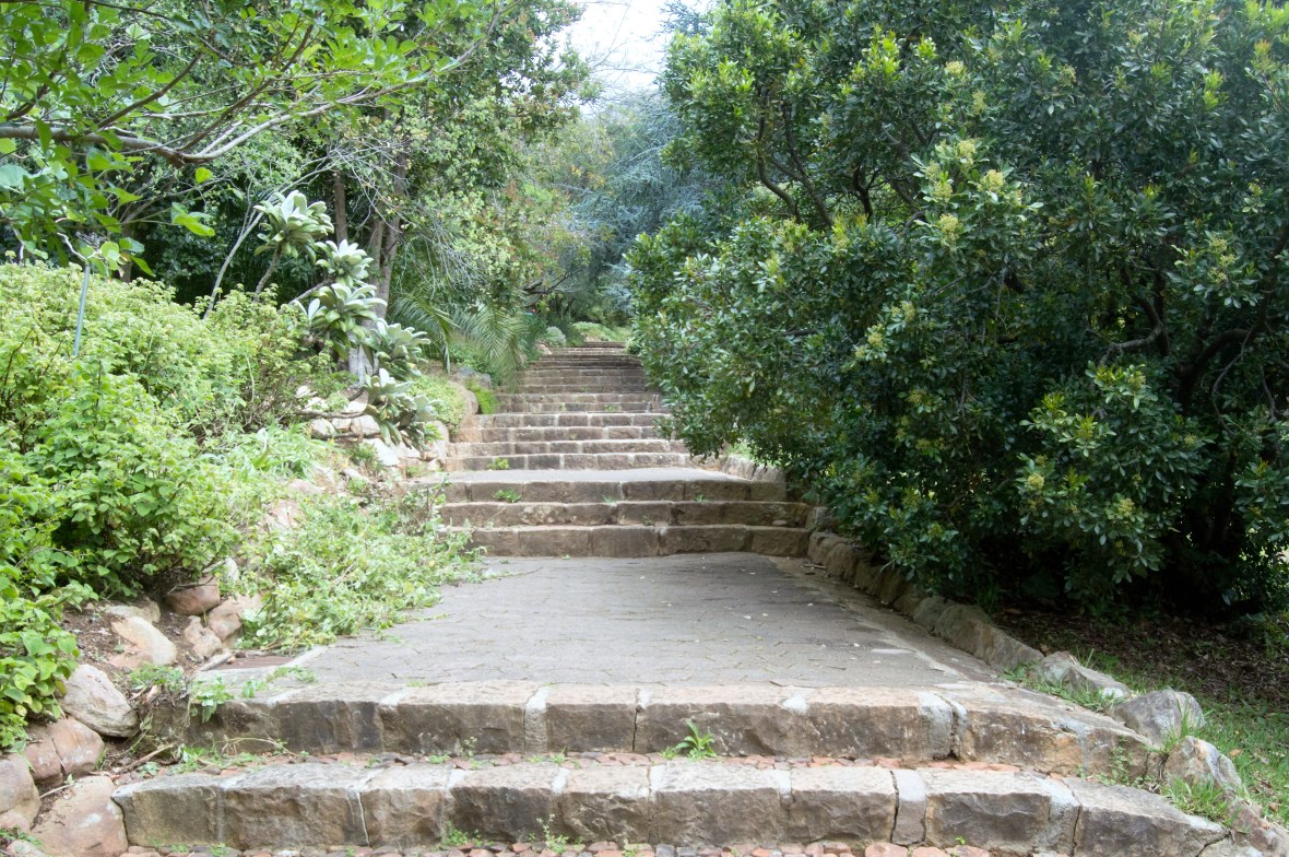 stairs-kirstenbosch-national-botanical-garden-cape-town-south-africa
