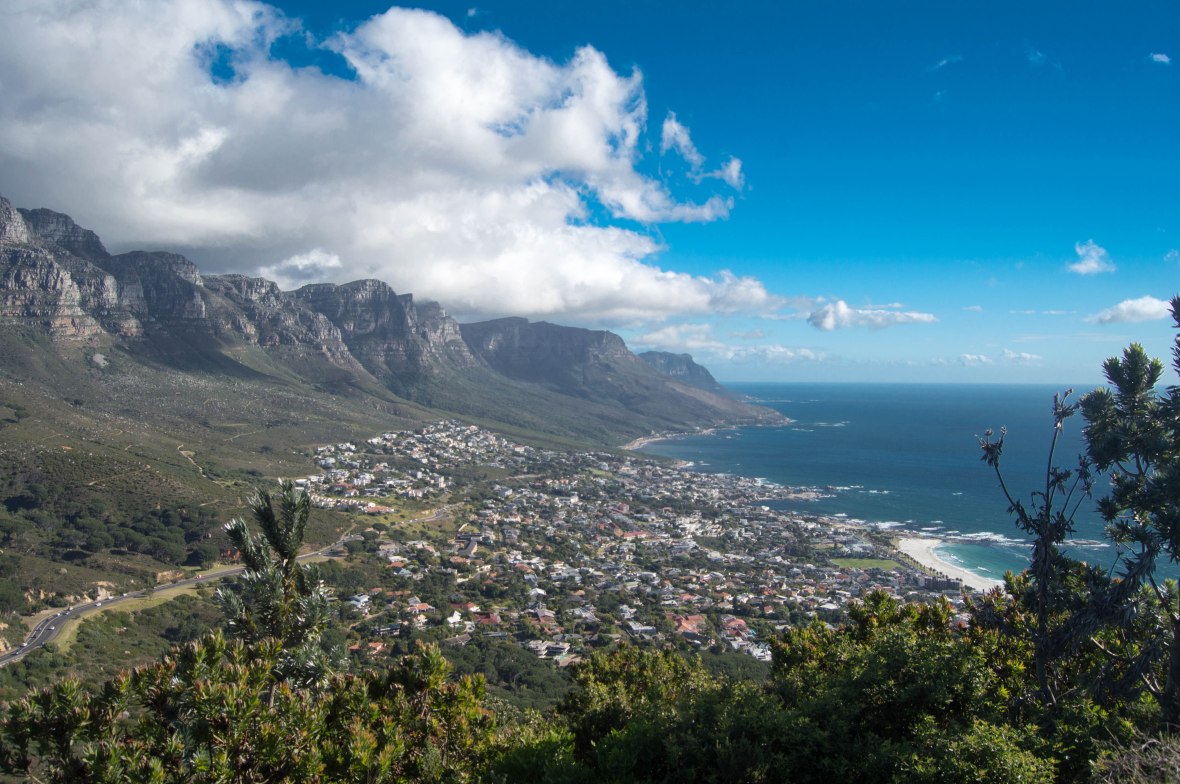 twelve-apolstes-from-lions-head-cape-town-south-africa