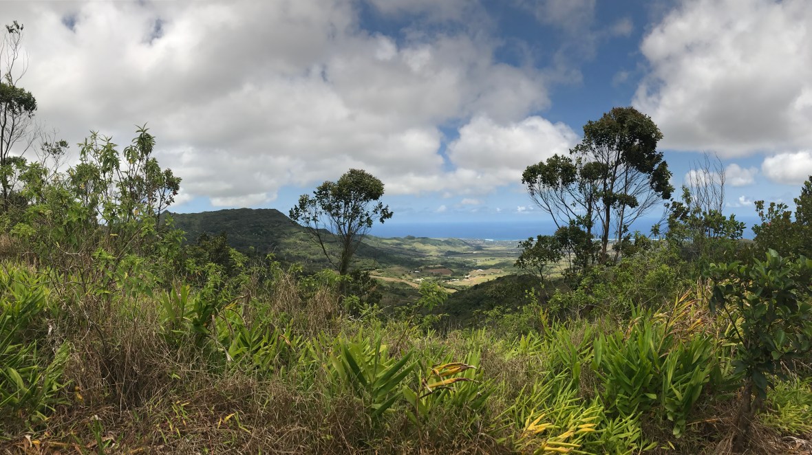 coastline-mauritius