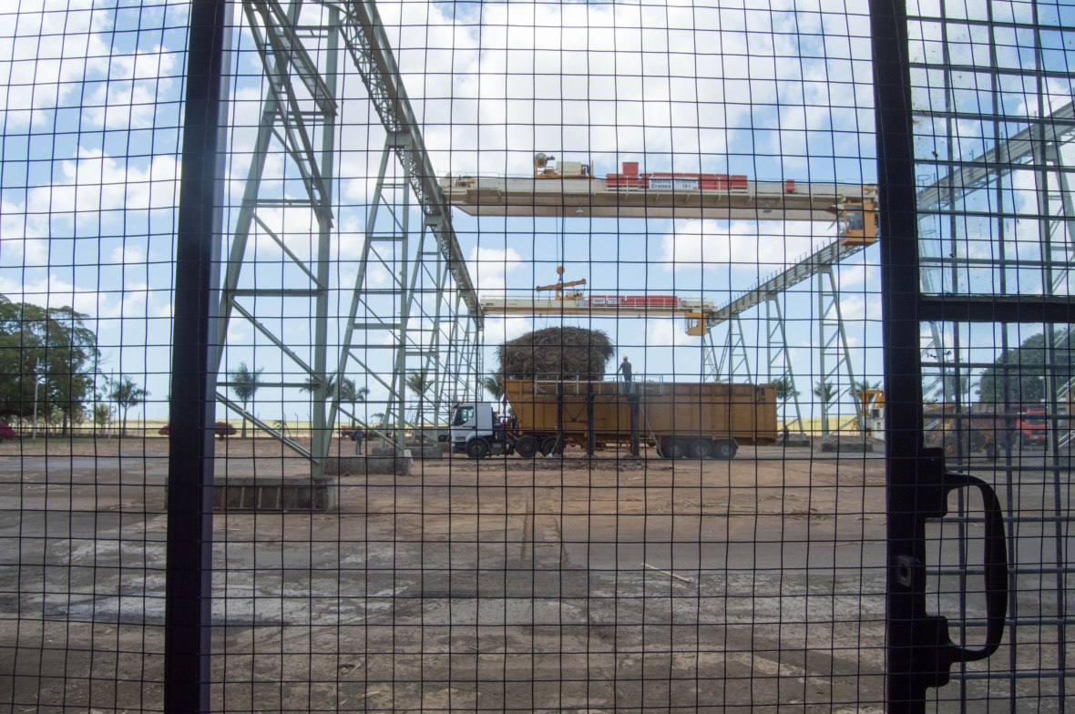 sugar-cane-delivery-laventure-du-sucre-mauritius