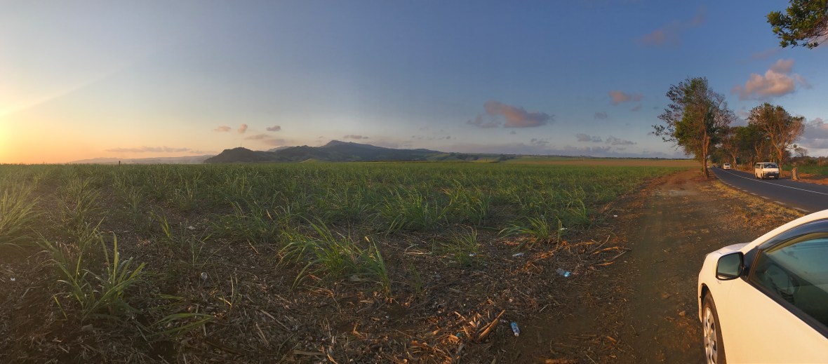 sunset-by-a-sugarcane-field-mauritius