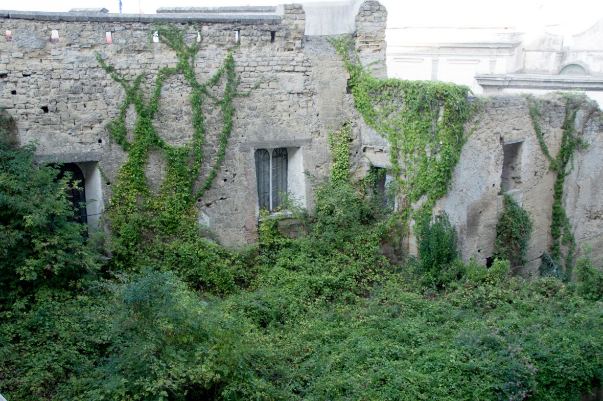 Overgrown Plants, Castel Sant'Elmo, Naples, Italy