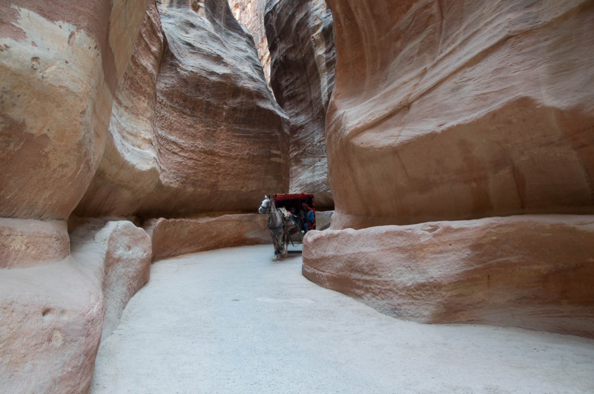 Horse And Carriage, The Siq, Petra, Jordan