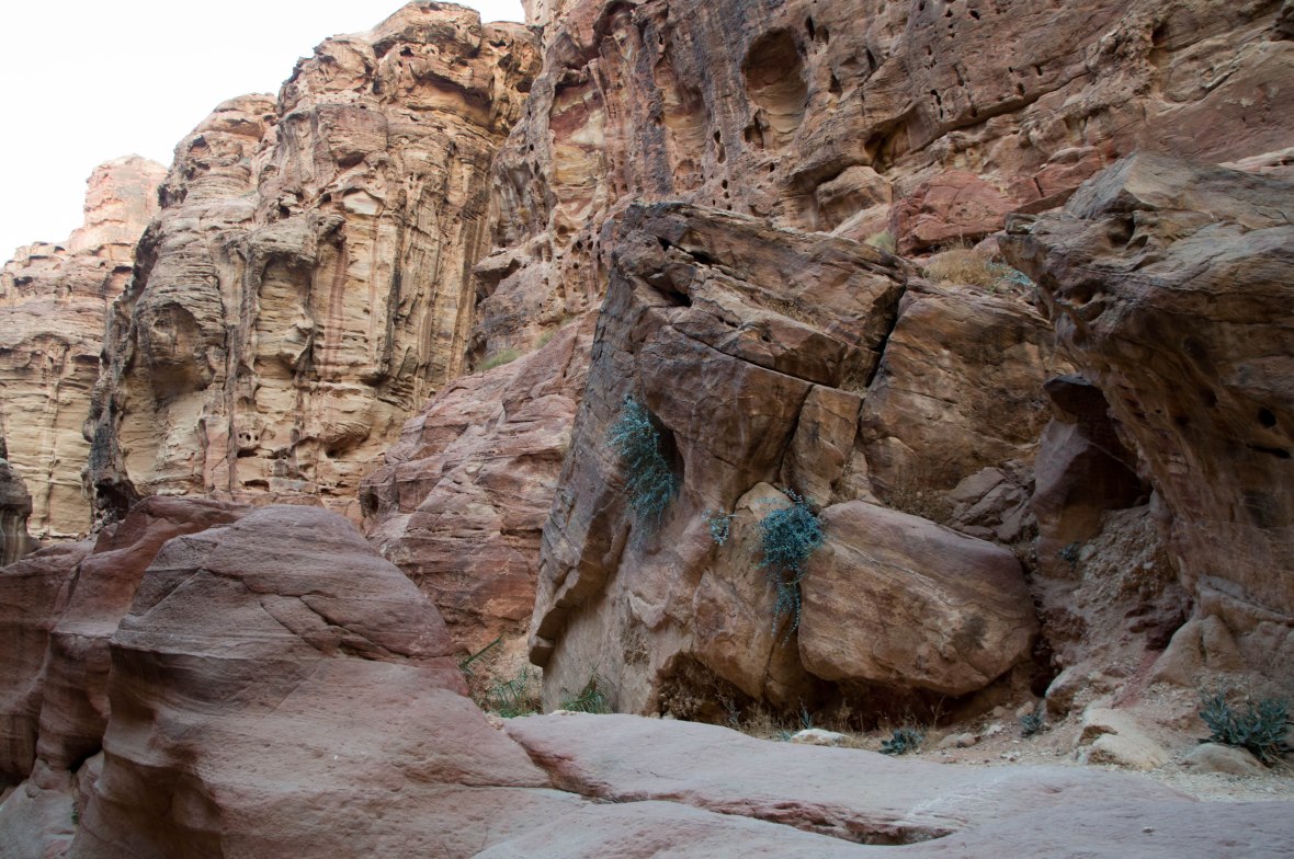 Sandstone Formations, Petra, Jordan