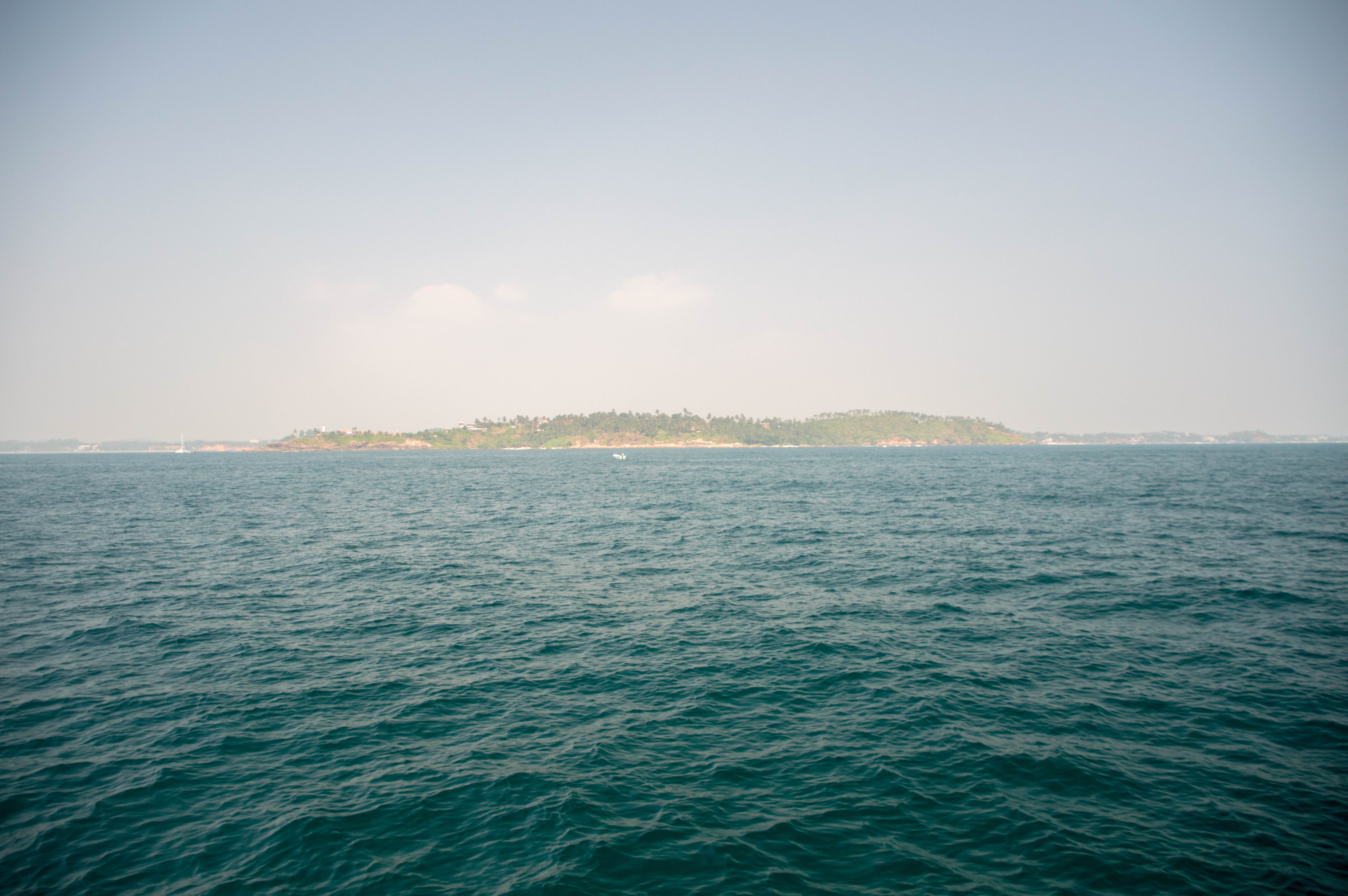 Sailing Towards The Shore, Whale Watching, Mirissa, Sri Lanka