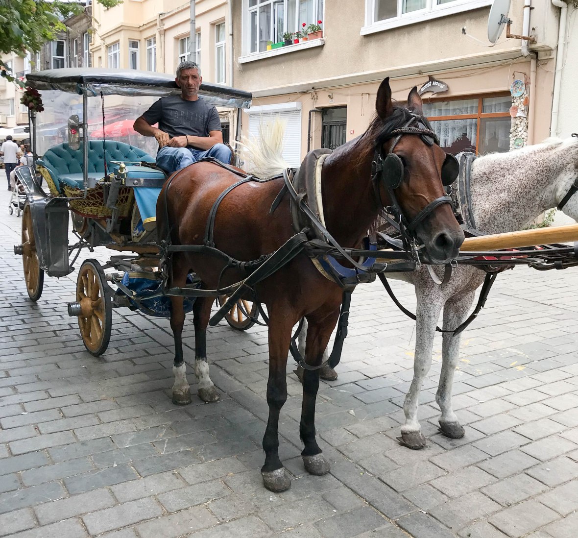 horse and carriage, heybeliada island, adalar, princes islands, istanbul