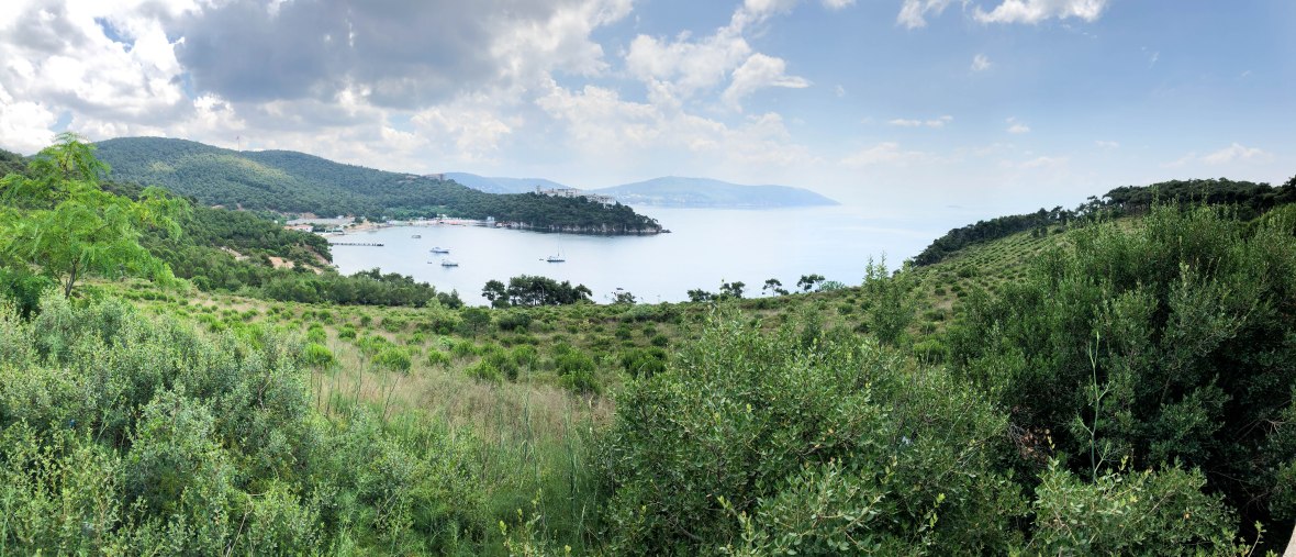 view over heybeliada island, adalar, princes islands, istanbul