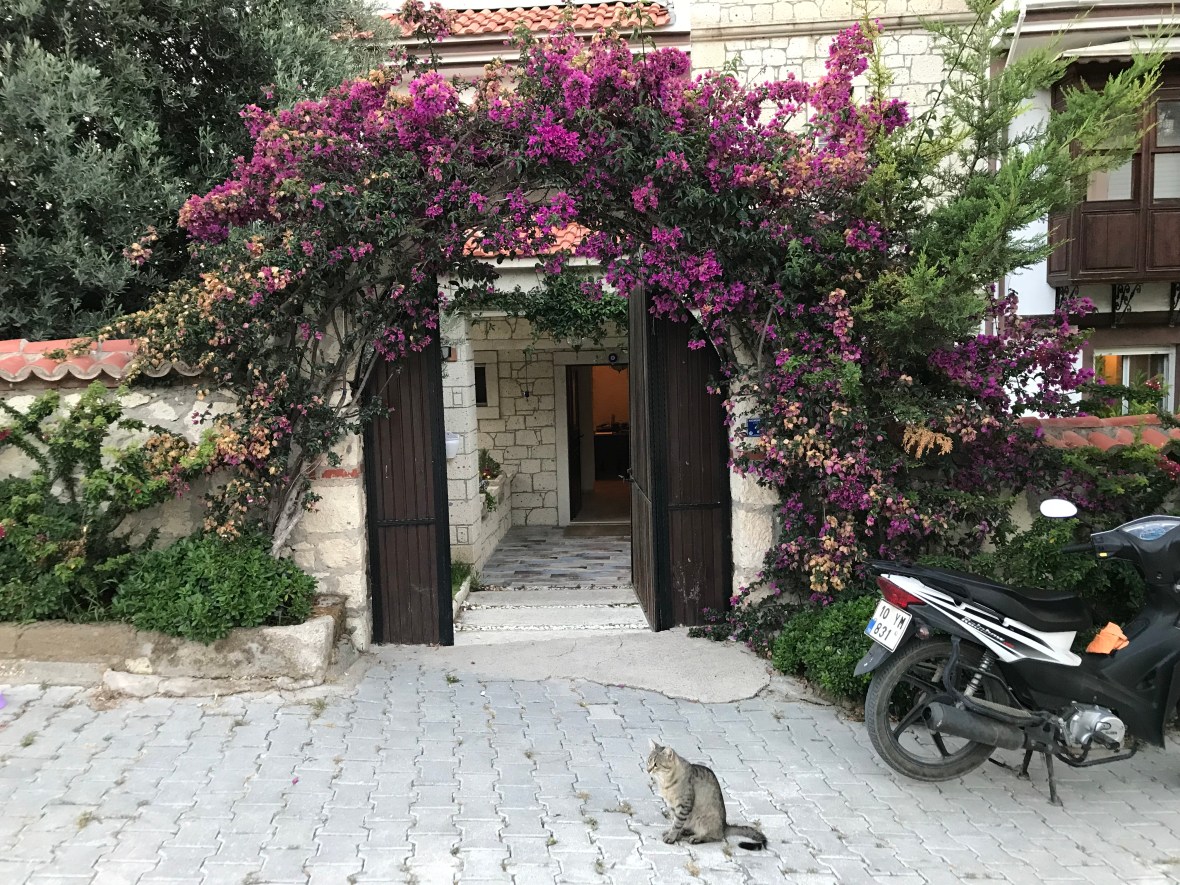 Entrance, Alacati Yamac Evi Hotel, Alaçatı, Turkey