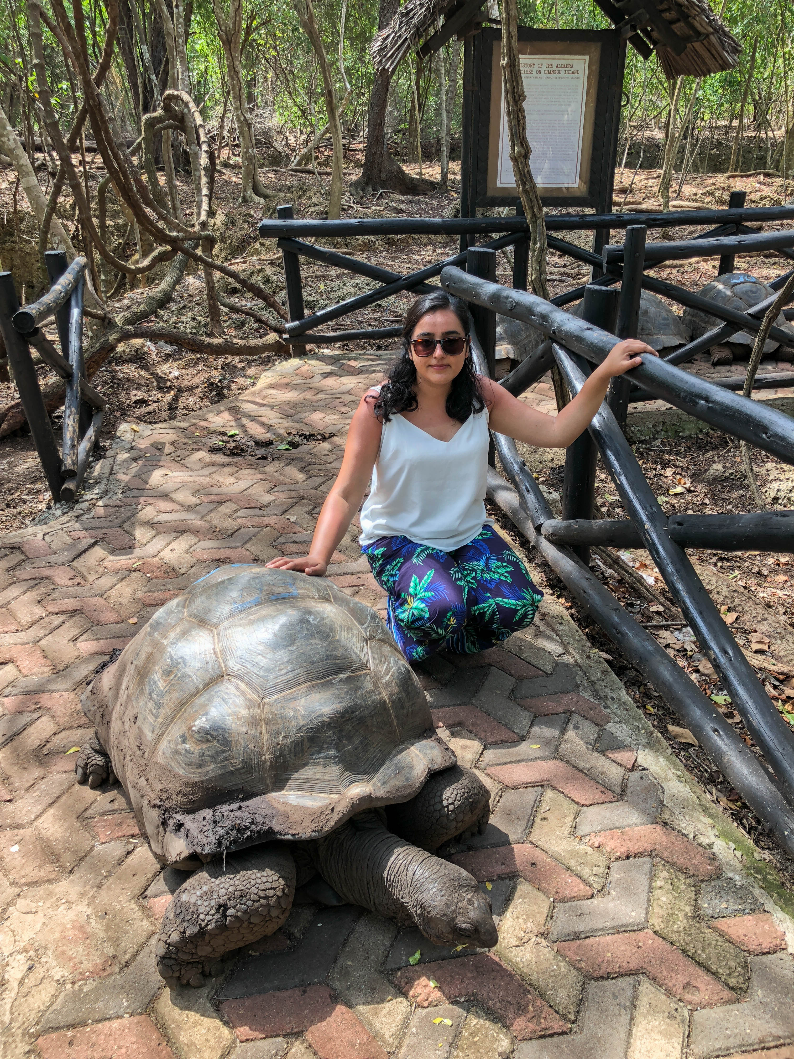 Hanging Out With The Giant Turtles, Prison Island, Zanzibar, Tanzania