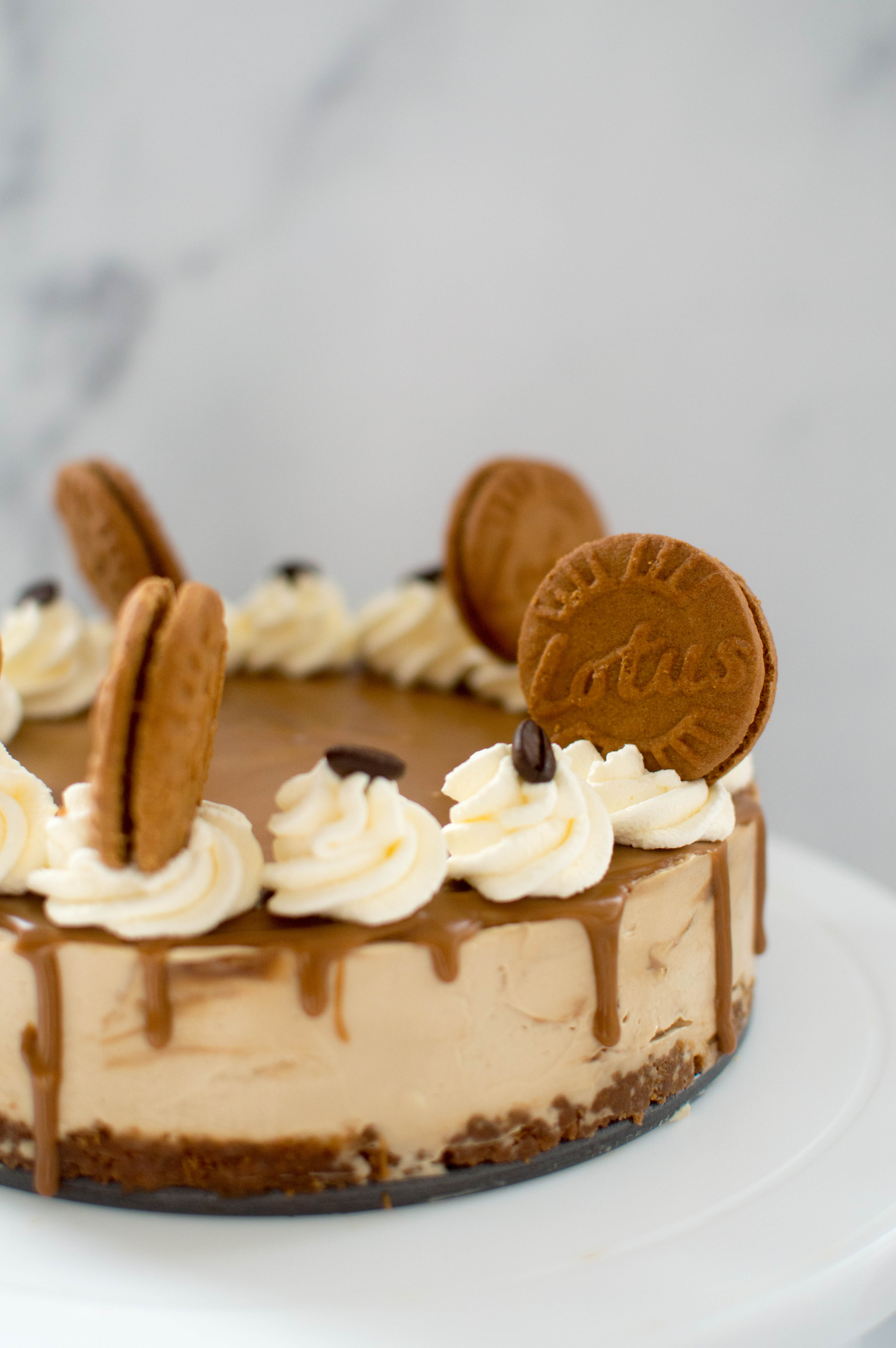 Lotus Biscoff & Coffee Cheesecake - Kay's Kitchen